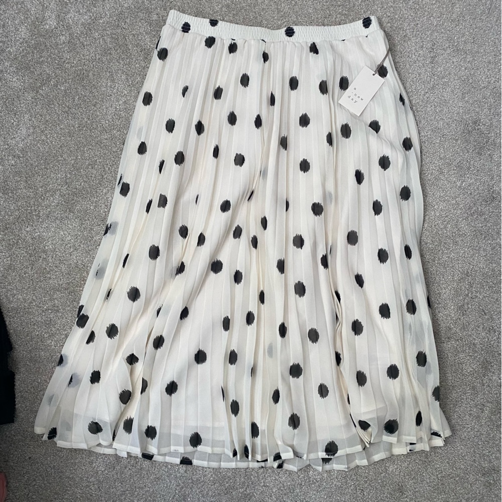 Pleated Skirt